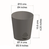 Lucky Plant Combo – Jade, Money Plant & Lotus Bamboo | 3 Live Indoor Plants in Krish 10cm Self-Watering Pots | Feng Shui & Vastu Good Luck Plants for Home & Office Décor (Pot Colour May Vary)