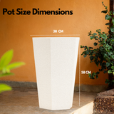 Gem Rotomolded Pots for Home & Garden (Pack of 1)