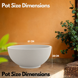 Lilly Rotomolded Pot for Home & Garden (Pack of 1)