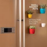 Hug A Plant Valencia Mixed Magnet Plastic Pot to Create Vibrant Spaces
