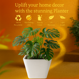 Stylo Rotomolded Pots for Home & Garden (Pack of 1)