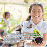 Gulmohar (Delonix regia) | Seed Balls