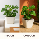 Stylo Rotomolded Pots for Home & Garden (Pack of 1)