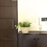 Tuka 25 Round Plastic Pot (Without Self-Watering Kit)