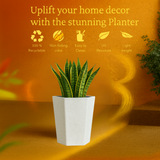 Gem Rotomolded Pots for Home & Garden (Pack of 1)