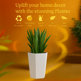 Gem Rotomolded Pots for Home & Garden (Pack of 1)