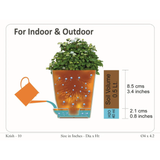 Lucky Plant Combo – Jade, Money Plant & Lotus Bamboo | 3 Live Indoor Plants in Krish 10cm Self-Watering Pots | Feng Shui & Vastu Good Luck Plants for Home & Office Décor (Pot Colour May Vary)