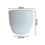 Hug A Plant | Sunny Small Round Plastic Pot with Inner for Home & Garden (20CM|8 INCH)