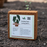 Hug A Plant Cocopeat Brick/Block 1 Kg