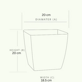 Siena 20 Plastic Pot