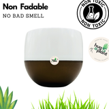 Hug A Plant Self-Watering Miniature Pot ƒ?? Mixed Colors for Home & Garden