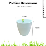 Hug A Plant | Smart Pot 2 litre Self-watering Pot for Home & Garden