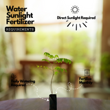 Irumban Puli / Bilimbi (Averrhoa bilimbi) Fruit Live Plant (Home & Garden)