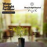 Ornamental Chilli Plant Fruit / Ornamental Live Plant (Home & Garden)