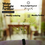 Butterfly plant(Crotalaria retusa) flowering Live Plant (Home & Garden)