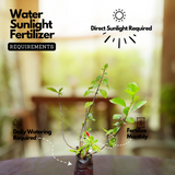 Viceroy Hibiscus / Chembarathi / China rose / Shoeblack Plant (Hibiscus rosa-sinensis) Flowering/Ornamental Live Plant (Home & Garden)