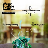 Red Arrow Syngonium (Syngonium podophyllum) Live Plant with hanging (Home & Garden)