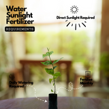 Pavizhamalli (Night Jasmine, Coral Jasmine) Jasmine Plant Flowering/Ornamental Live Plant (Home & Garden)