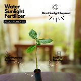 Birth Star : Sravana|Thiruvonam|Shrona (Plant: Erukku-Calotropis Procera|Calotropis Gigantea) (H&G)