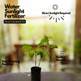 Sarpagandha (Rauvolfia Serpentina) Indian Snakeroot | Devil Pepper Wood Medicinal Live Plant (Home & Garden)