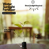 Parijatham Plant / Fiddlewood (Citharexylum spinosum) Flowering/Ornamental Live Plant (Home & Garden)