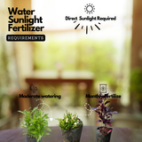 Vertical Plants Combo – Alternanthera Green, Alternanthera Purple & Star Grass (Hemigraphis repanda) | Pack of 9 Live Plants (3 Each) | Ideal for Vertical Garden & Landscape