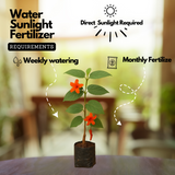 Idampiri valampiri (Helicteres isora) Live Plant (Home & Garden)