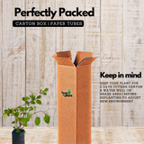 Thazhuthama (Boerhaavia Diffusa)Tamilama / Punarnava / Beshakapore / Medicinal Live Plant (Home & Garden)