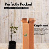 Kolpuli/Valampuli(Tamarindus indica L.) Live Fruit Plant (Home & Garden)