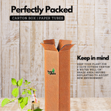 Orange Trumpet Vine / Tecoma (Campsis Radicans) Ornamental / Flowering Live Plant (Home & Garden)