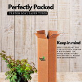 Grape Ivy Hanging(Cissus rhombifolia) Ornamental/Creeper Live Plant (Home & Garden)