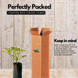 Ornamental Chilli Plant Fruit / Ornamental Live Plant (Home & Garden)