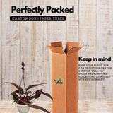 Philodendron Pink Princess - Live Plant with Hanging (Home & Graden)