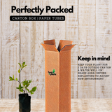 Sri Lankan Mulla (Jasminum multiflorum) Flowering/Ornamental Live Plant (Home & Garden)