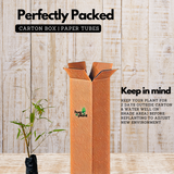 Yellow Bamboo Plant Ornamental Live Plant (Home & Garden)