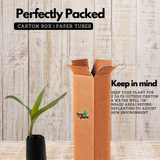 Canna Red Flowering/Ornamental Live Plant (Home & Garden)