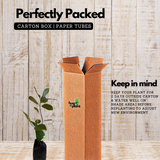 Birth Star : Uttar Ashada|Uthradam (Plant: Plavu-Artocarpus Heterophyllus|Artocarpus Communis) (H&G)