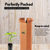 Garcinia Amazonica Seedling Fruit Plant (Home & Garden Plants)