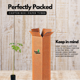 Birth Star : Shravishtha|Avittam|Dhanishta (Plant: Muringa-Moringa Oleifera|Prosopis Cineraria|Prosopis Spicigera|Prosopis Juliflora) (H&G)