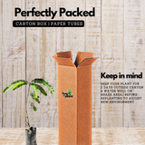 Birth Star : Bharani | Apabharani (Plant: Nelli-Phyllanthus Emblica|Emblica Officinalis) (Home & Garden)