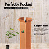 Malayalam Zodiac Sign (Rashi)– Medam (Aries) Plant: Red Sandal Wood Plant / Raktha Chandanam (Santalum album) Ornamental Live Plant (Home & Garden)