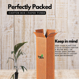 Honey Salak Fruit (Salacca Edulis) Seedling Fruit Plant (Home & Garden Plants)