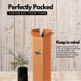 Shatavari / Wild Asparagus Ornamental / Medicinal / Flowering Live Plant (Home & Garden)