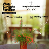 FireCrackerRed Live Plant (Home & Garden)