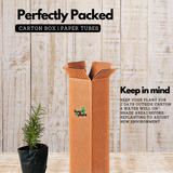 Rosemary Plant / Gulmehendi (Salvia rosmarinus) Flowering / Ornamental / Medicinal Live Plant (Home & Garden)