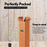 Spring Guava Fruit (Casimiroa Edulis) Grafted Fruit Plant (Home & Garden Plants)