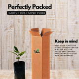 Birth Star : Chitra|Chithira|Chithirai (Plant: Koovalam-Aegle Marmelos) (Home & Garden)