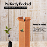 Red Custard Apple / Seethapazham (Grafted) (Annona reticulata) Fruit Live Plant (Home & Garden)