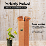 Kerala Hybrid Philodendron Ornamental / Creeper Live Plant (Home & Garden)