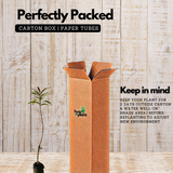 Neermaruthu / Terminalia arjuna Medicinal Live Plant (Home & Garden)